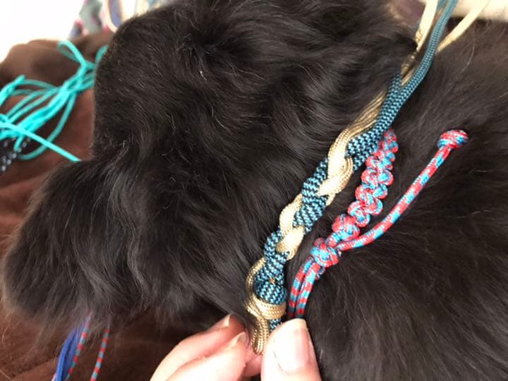 ワンニャンチョーカー☆首回り約31～33cm