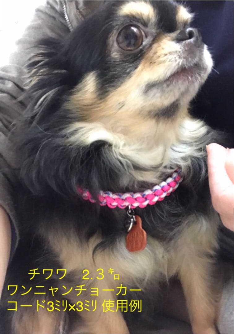 ワンニャンチョーカー☆首回り約31～33cm