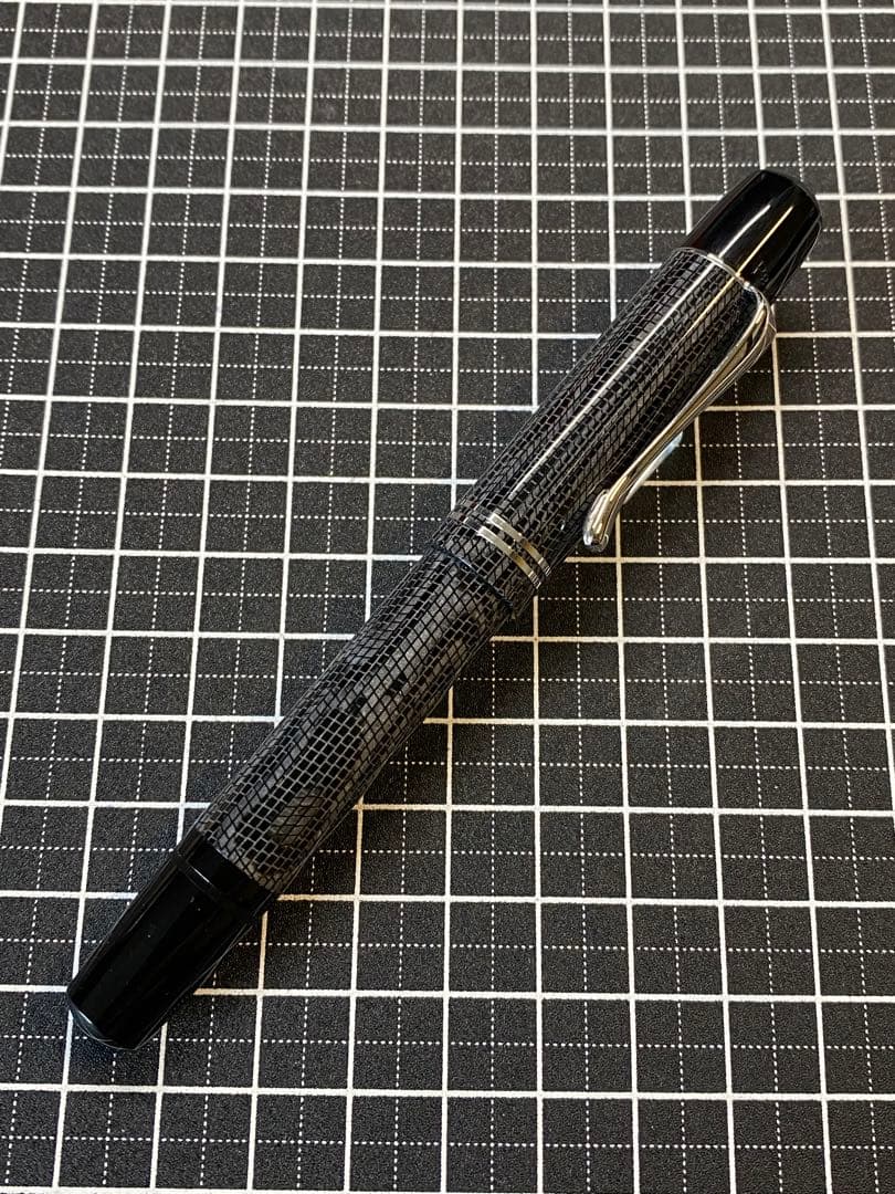 Pelikan M101N Lizard 万年筆　字幅M