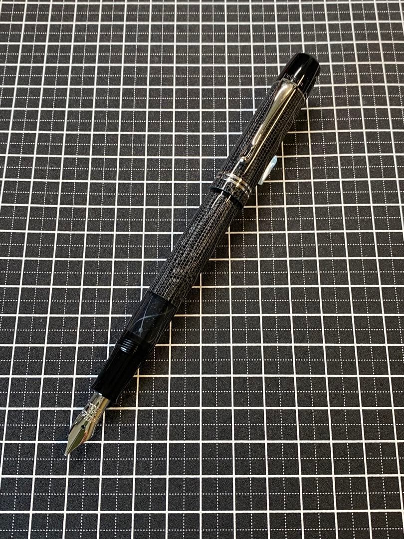Pelikan M101N Lizard 万年筆　字幅M