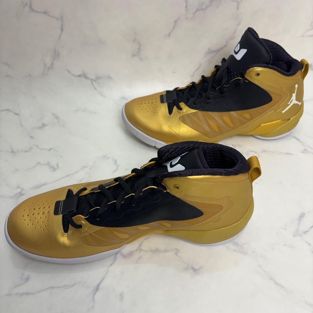 【新品未使用】JORDAN FLY WADE 2 EV 28.5
