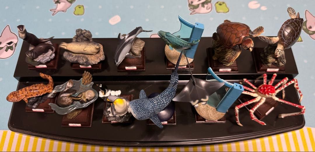 海遊館ミュージアム フルコンプ リーフレット付