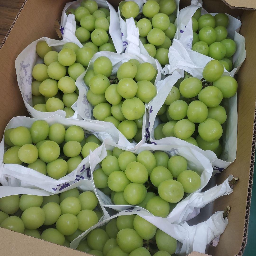 6️⃣ 山梨県産 シャインマスカット １０房入り 箱込み5.7キロ