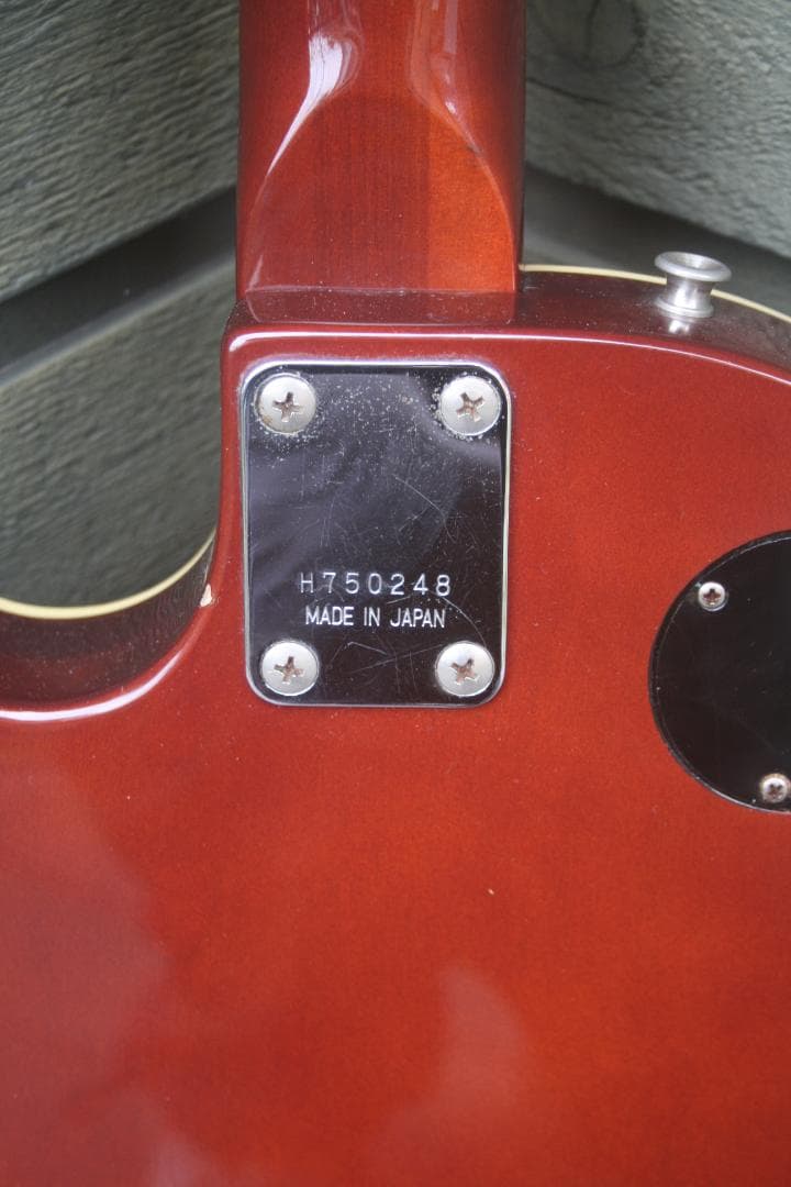 1975年 Greco EG380S