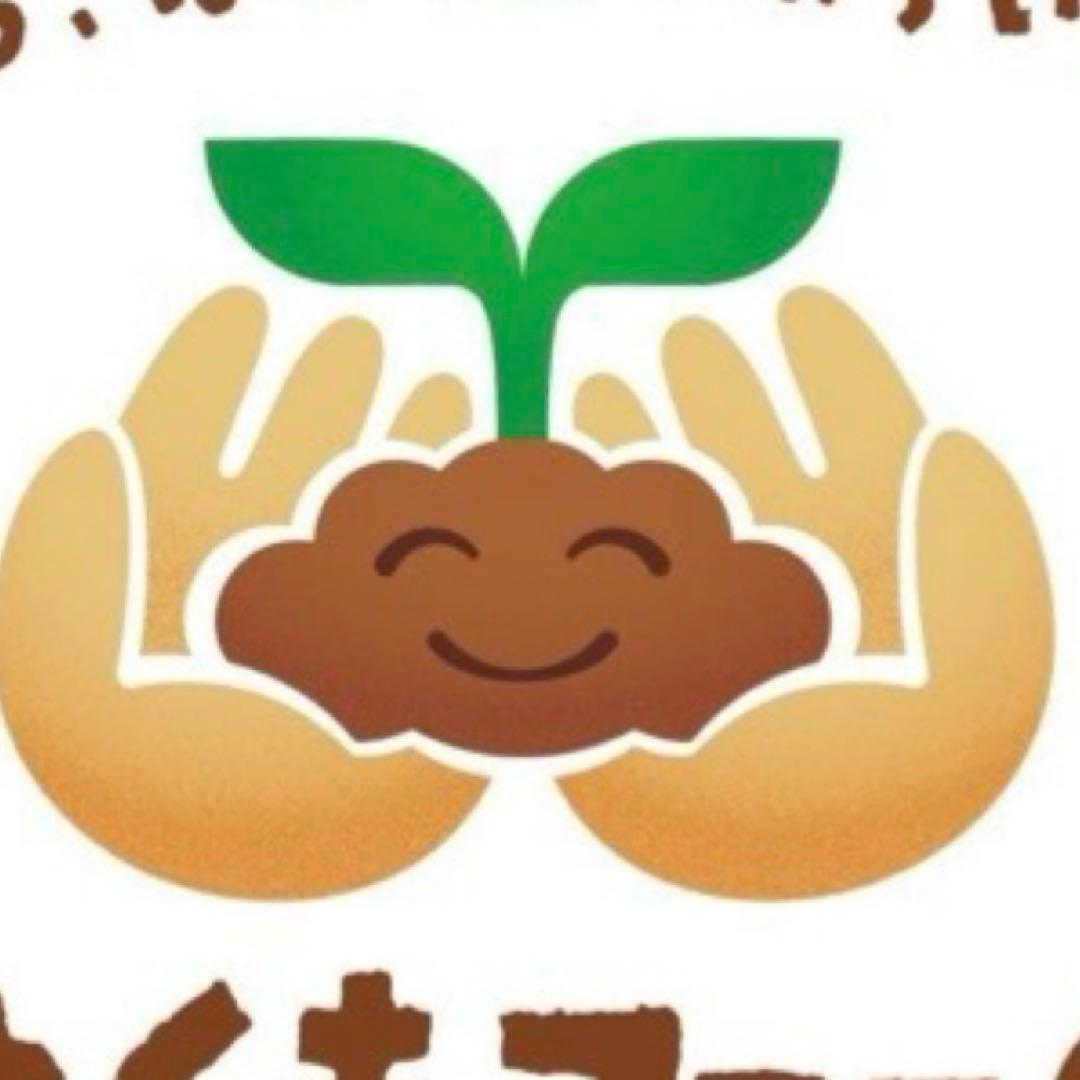 ryuiページ/アイシングクッキー