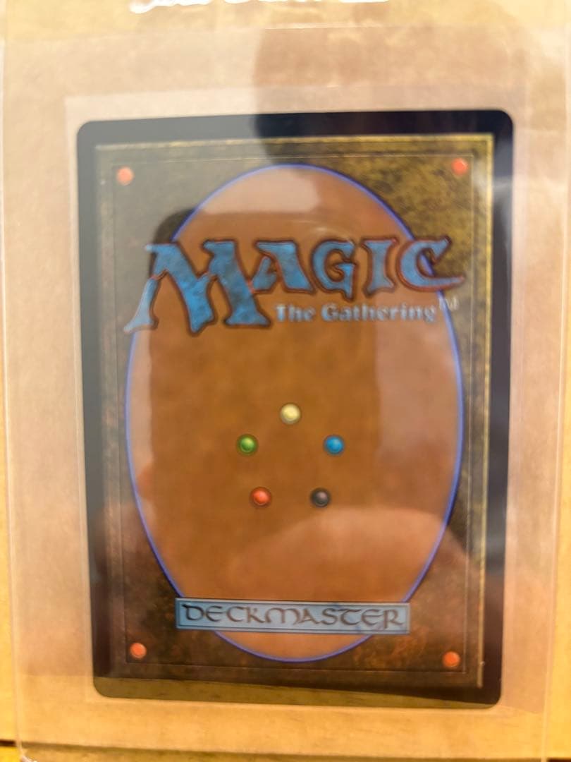 MTG 【Foil】《死者の沼地/The Dead Marshes》