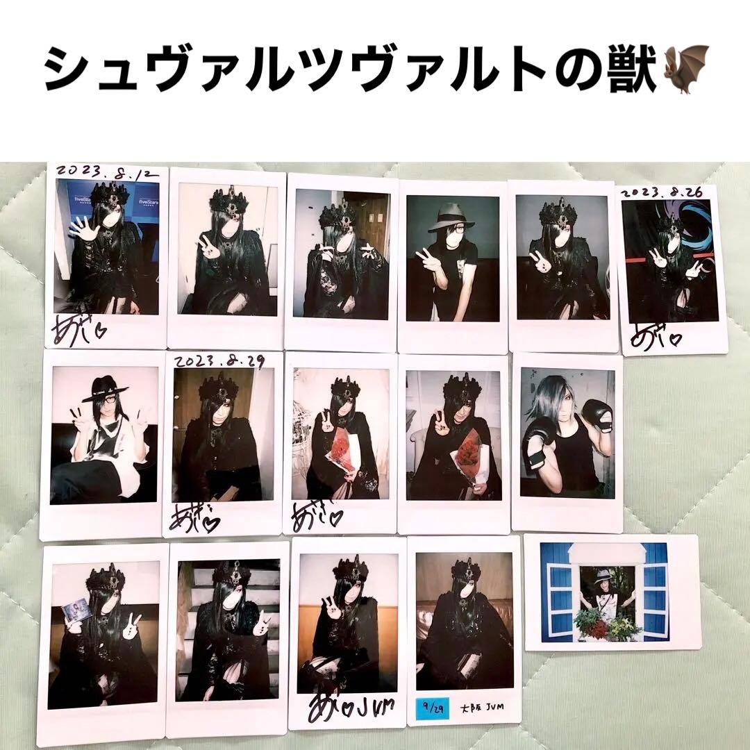 D　ASAGI 浅葱　チェキ　シュヴァルツヴァルトの獣 JVM グッズ シングル