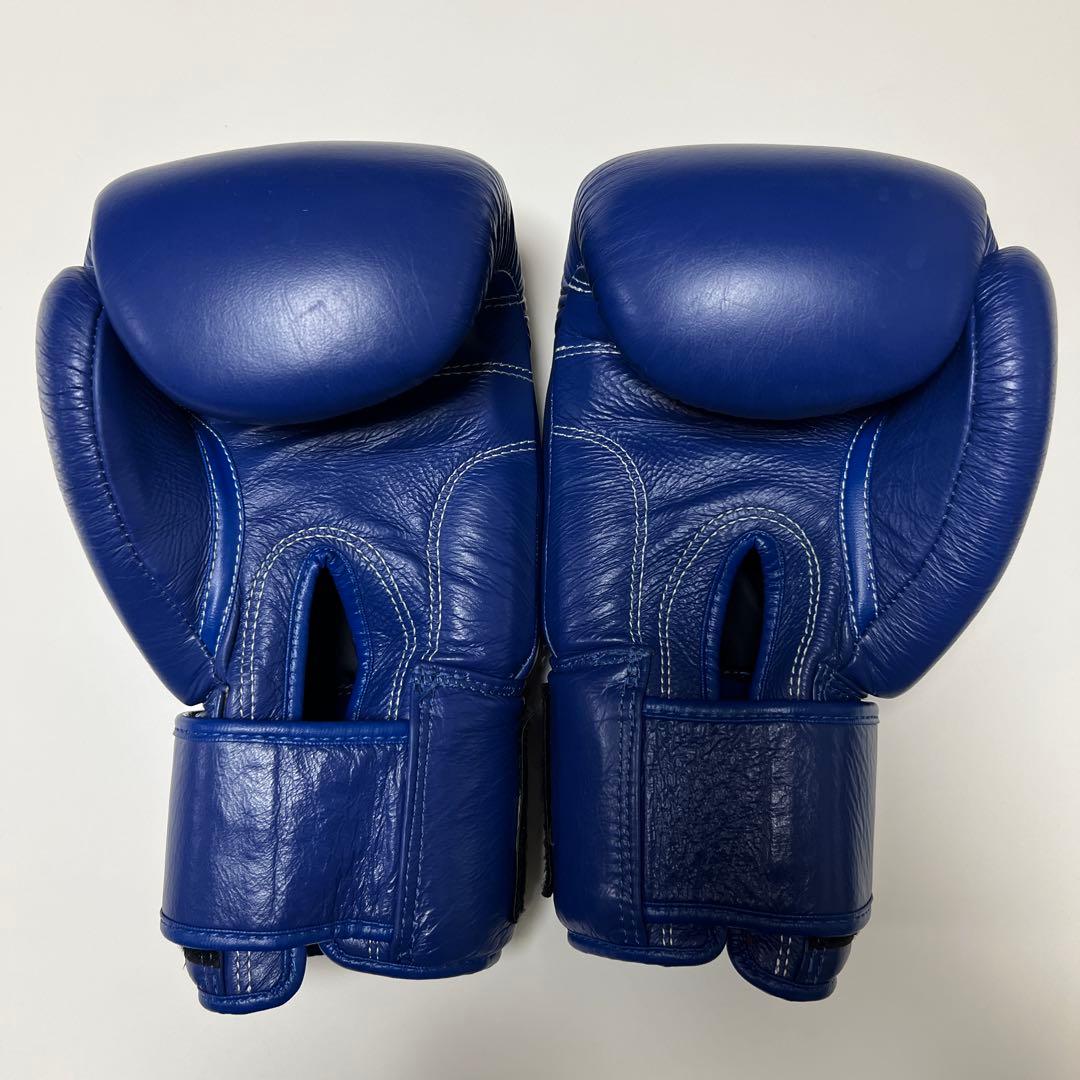 WINDY ボクシンググローブ 16 oz BGVH