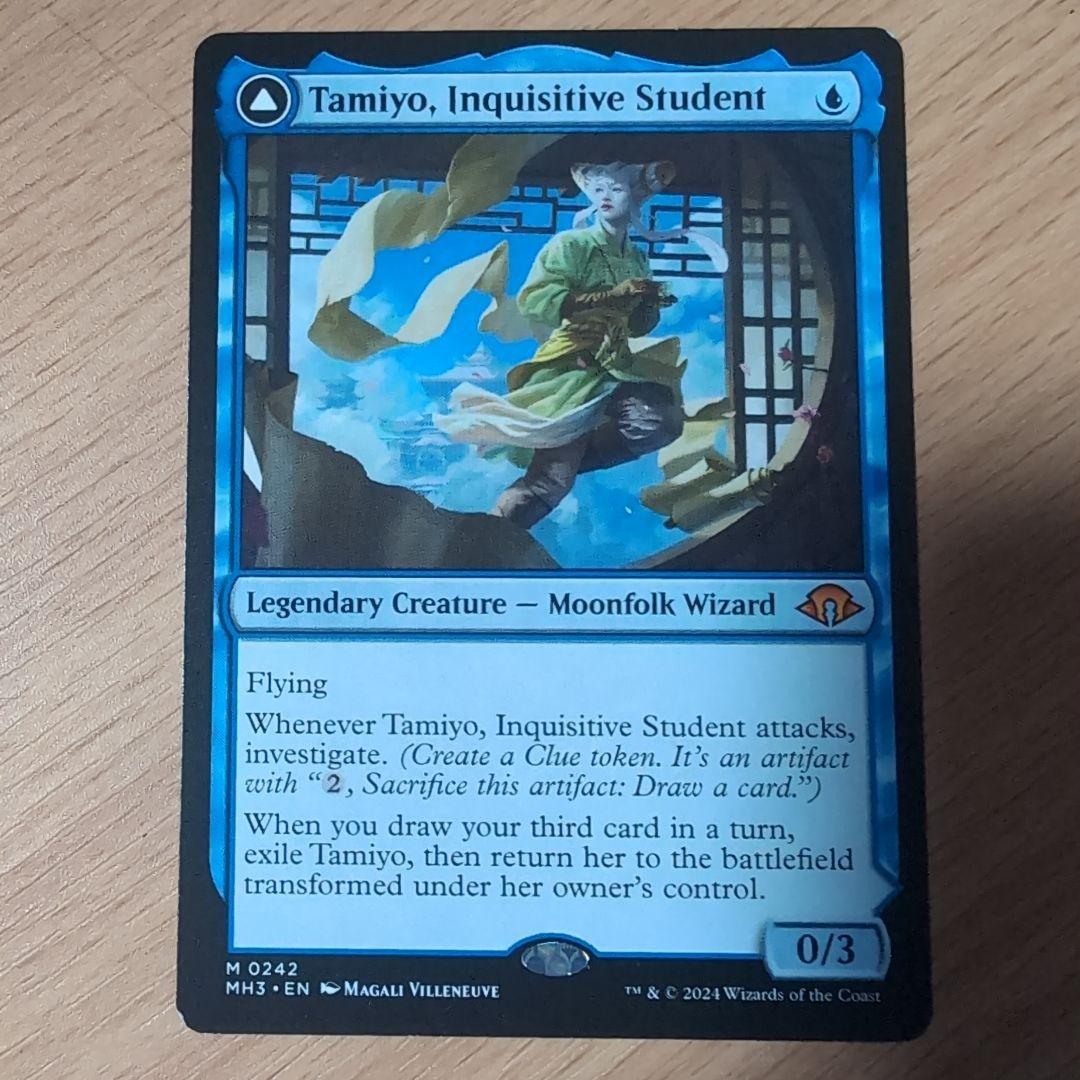 知りたがりの学徒、タミヨウ　英語版　4枚セット