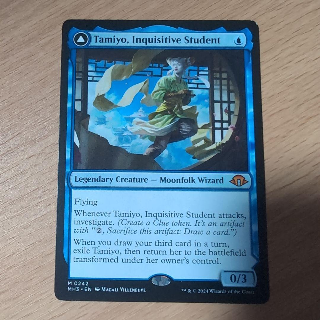 知りたがりの学徒、タミヨウ　英語版　4枚セット