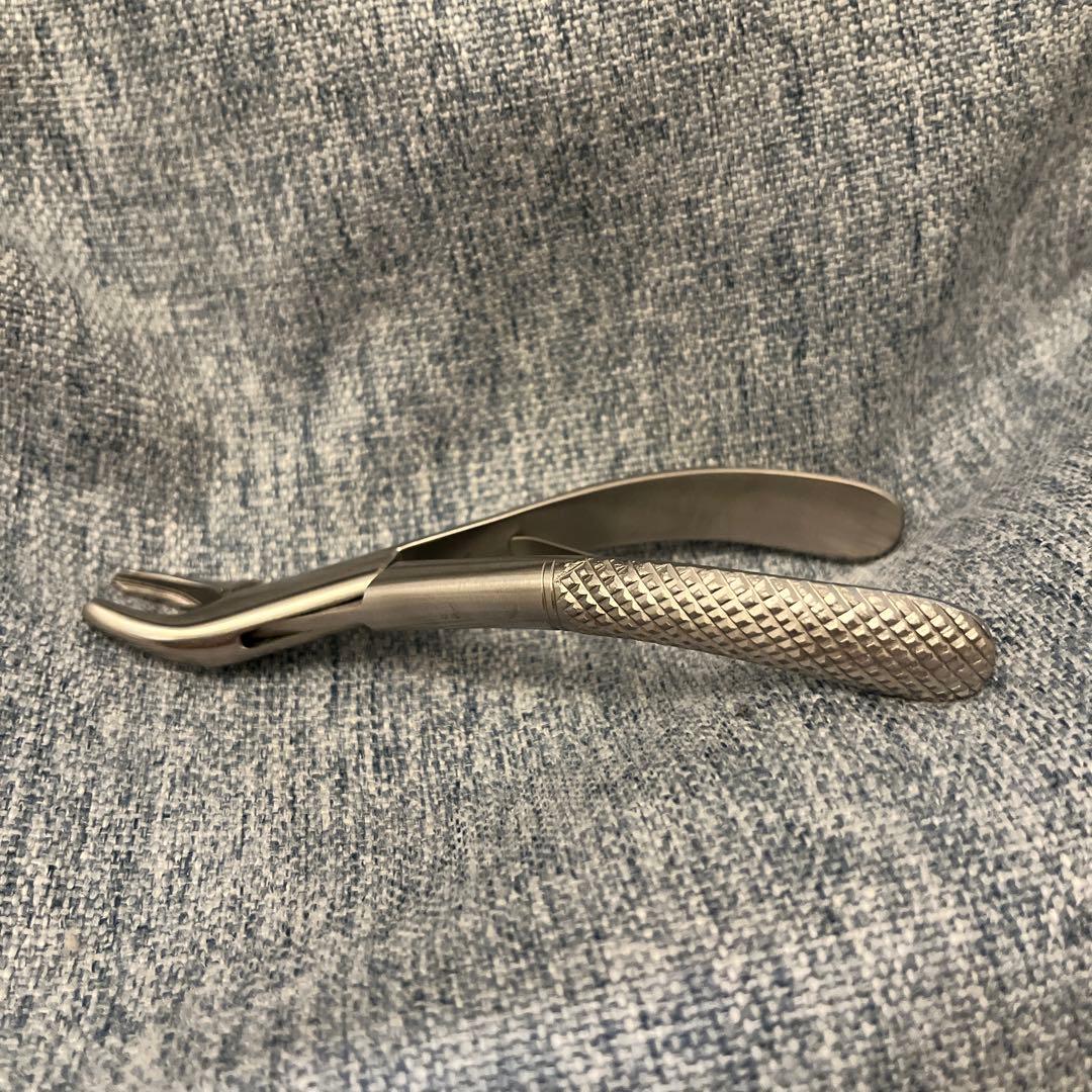 帝塚山ハウンドカム 歯石取りペンチ 犬用 猫用 ステンレス