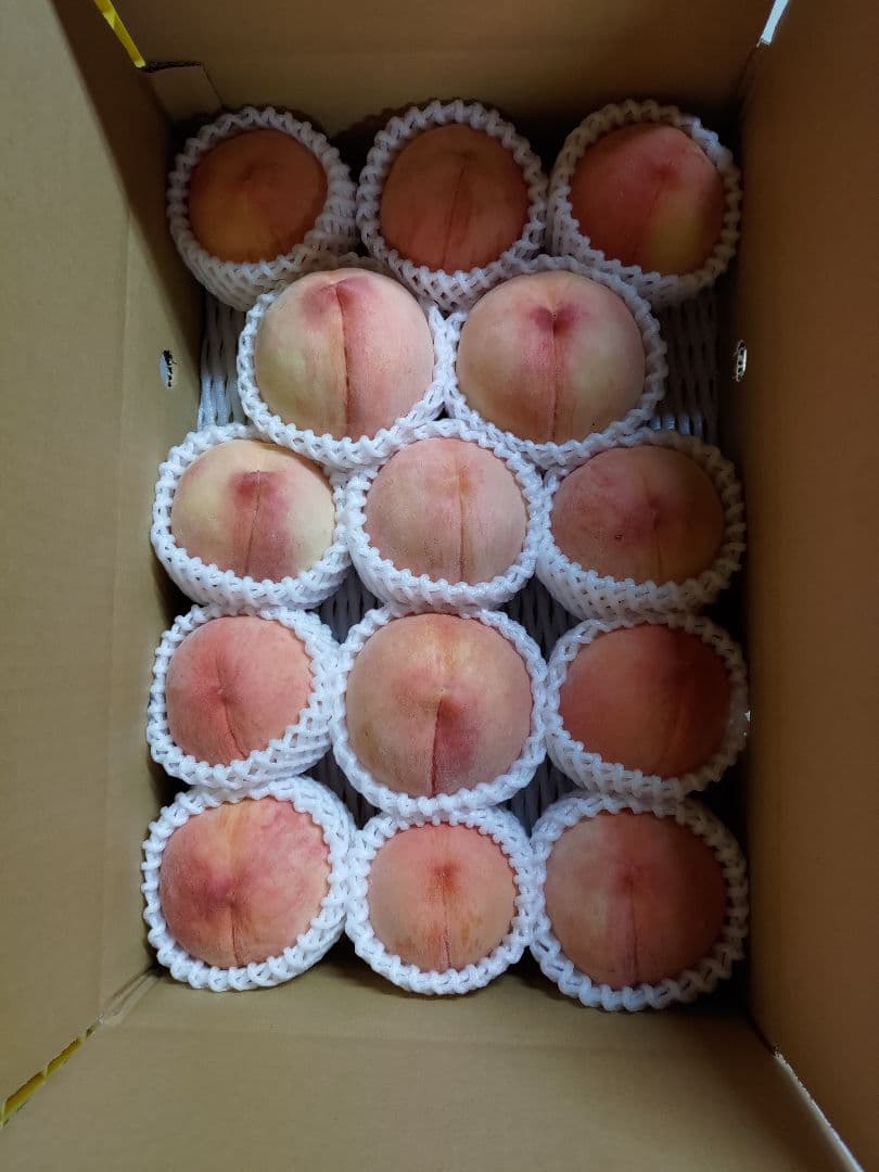 ハナミズキさん専用　桃　さくら白桃　わけあり　特大+中　10kg