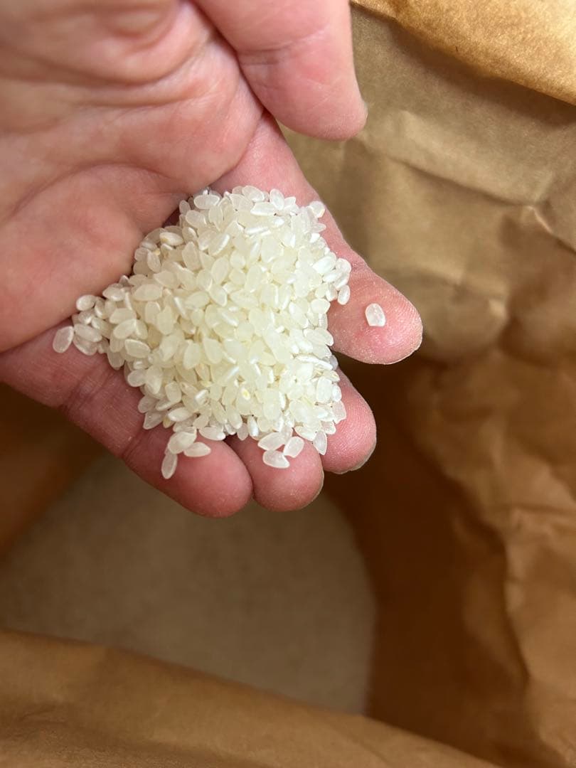 父の安全安心低農薬米こしひかり 10kg 千葉県成田市産