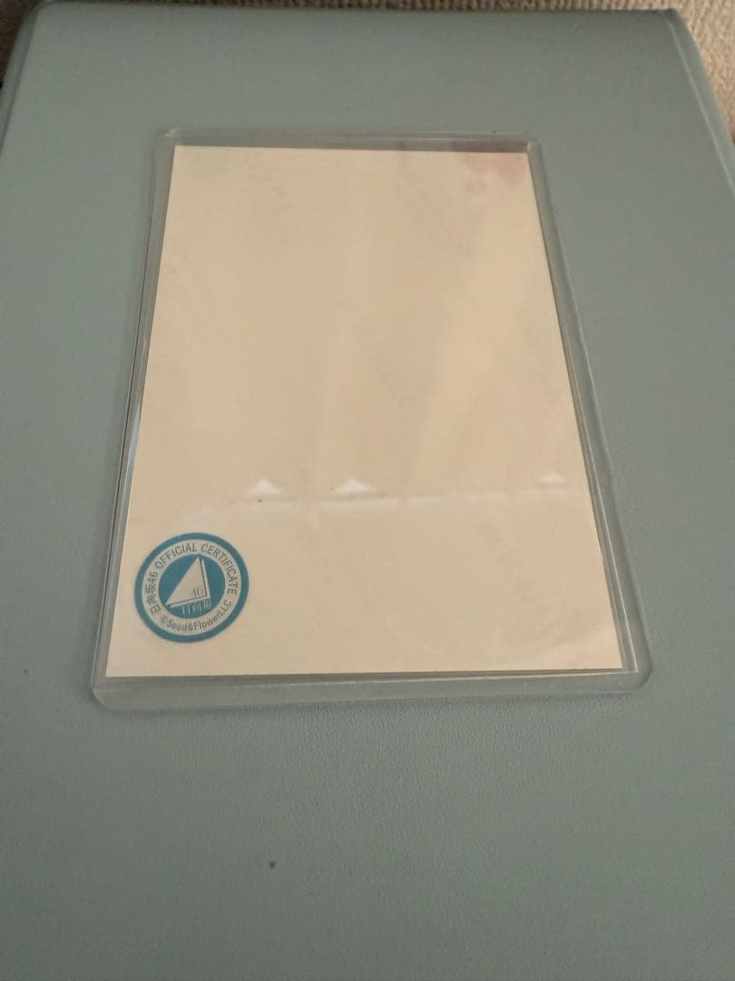 日向坂46 石塚瑶季 直筆生写真 ヒキ