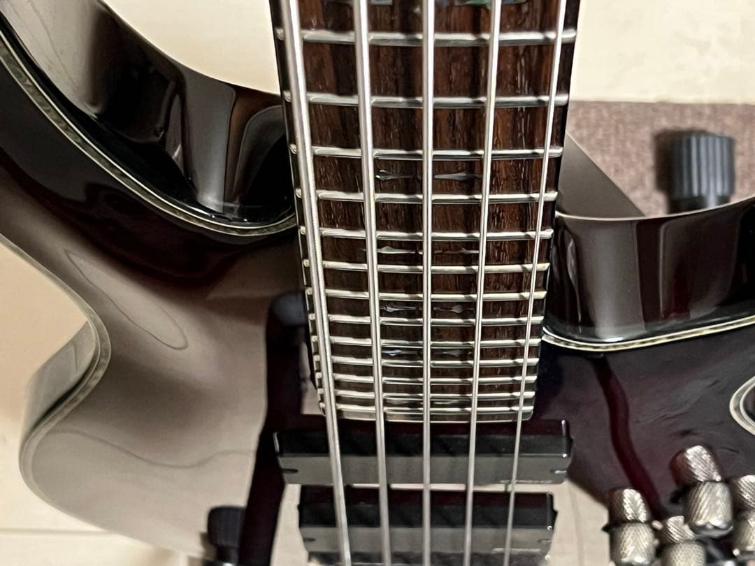 即発送 SCHECTER HELLRAISER-5 5弦ベース 調整済み