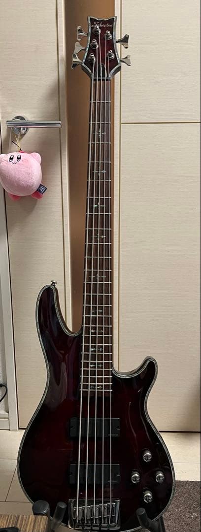 即発送 SCHECTER HELLRAISER-5 5弦ベース 調整済み