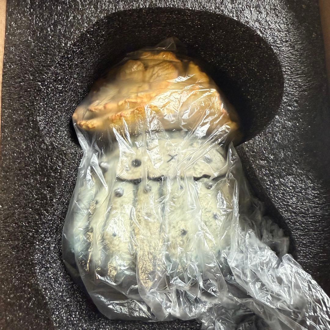 羅本製所robinceramicstudio FLOWER SEASON