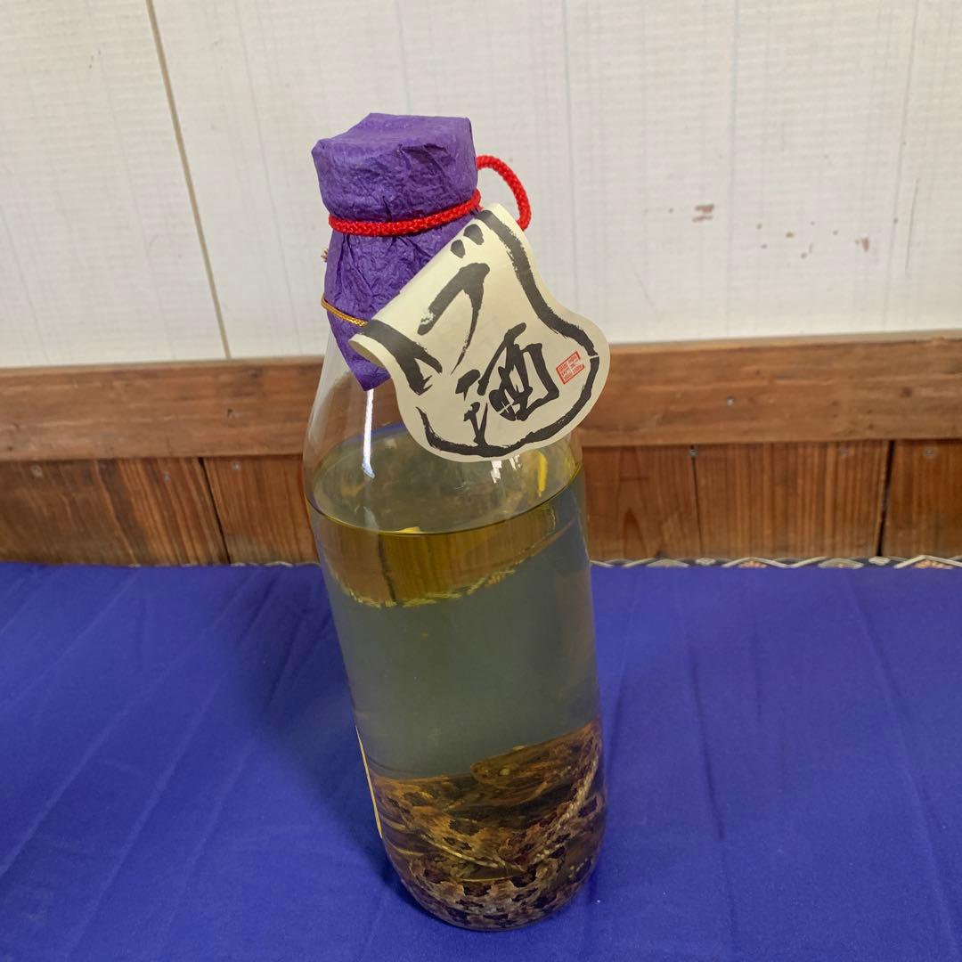 ハブ入りハブ酒　南都酒造所　非売品