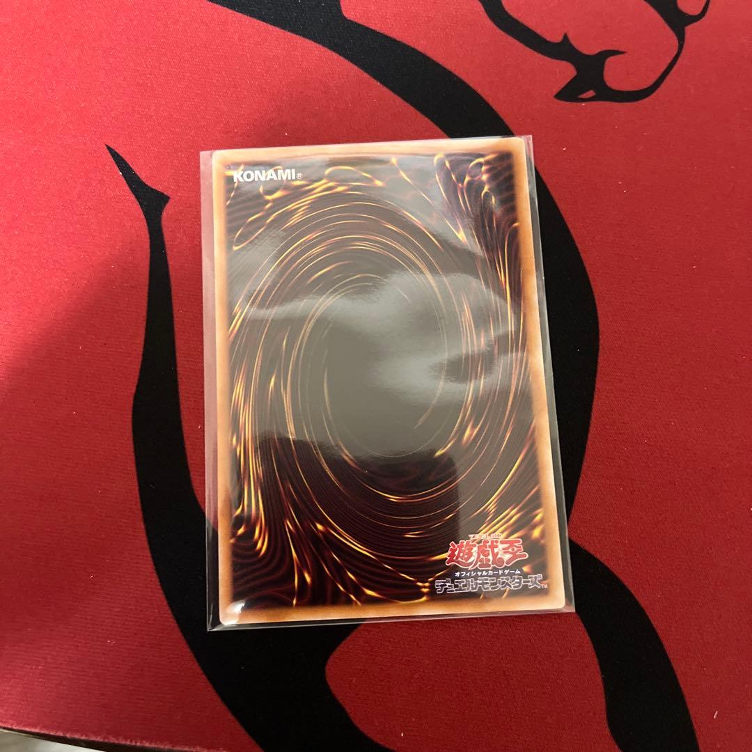 遊戯王 大輪の霊使い プリシク⑥