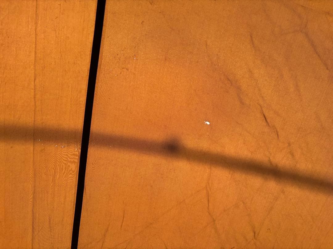  Peak　トルテュPro.　TP-770　R