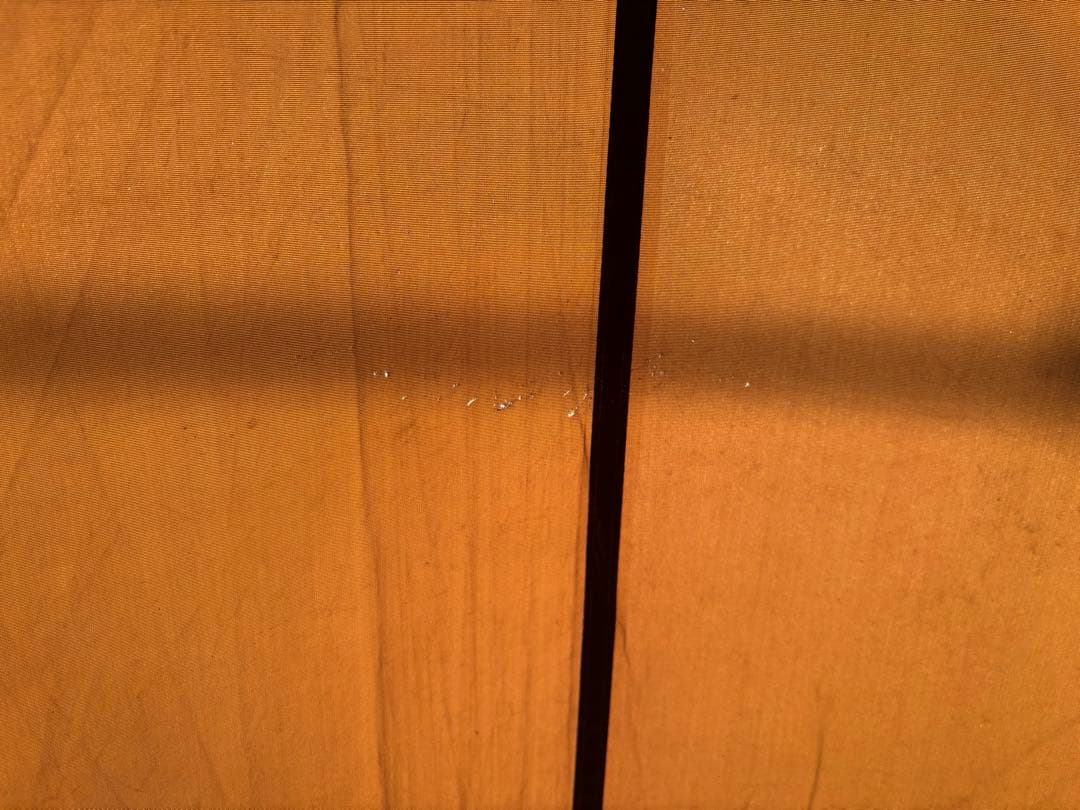  Peak　トルテュPro.　TP-770　R