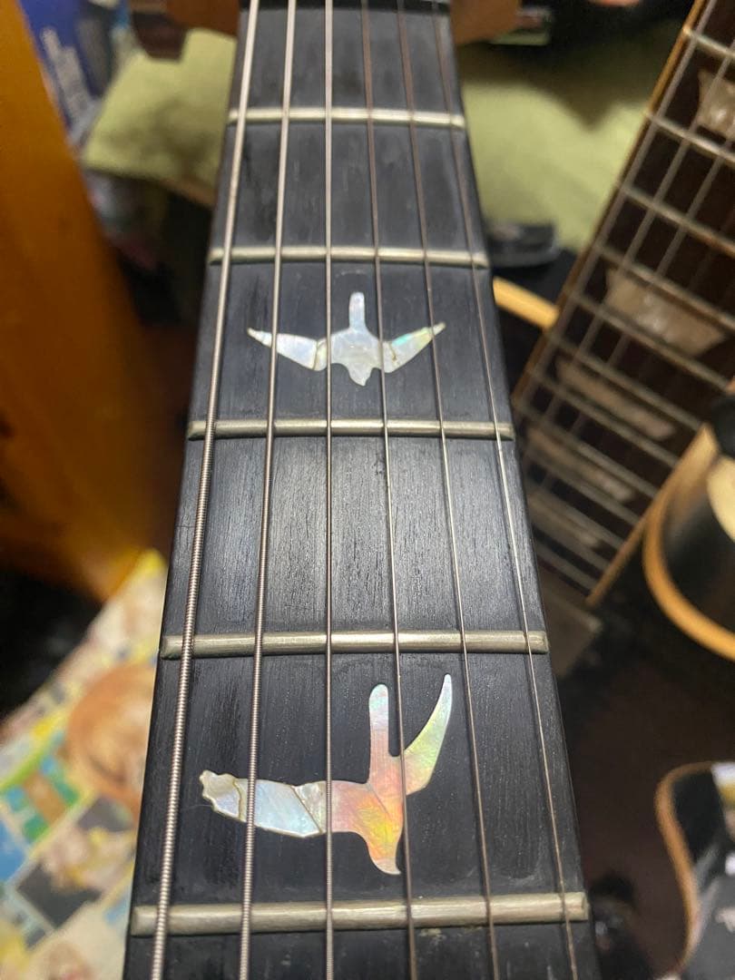 ギター paul reed smith tremonti signature