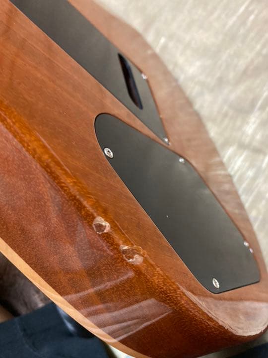 ギター paul reed smith tremonti signature