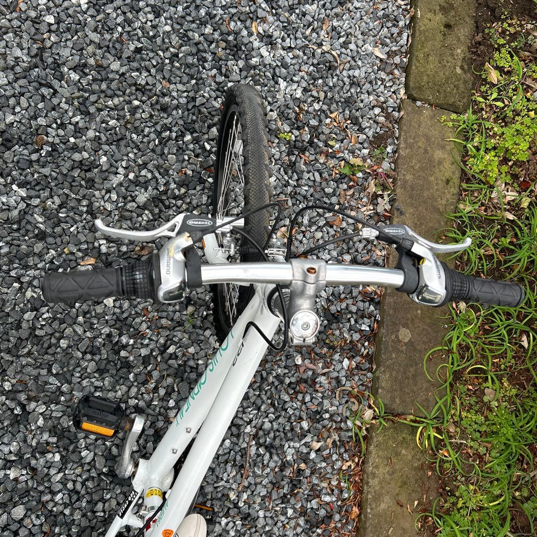 ルイガノ J22 LOUIS GARNEAU ジュニア22インチ