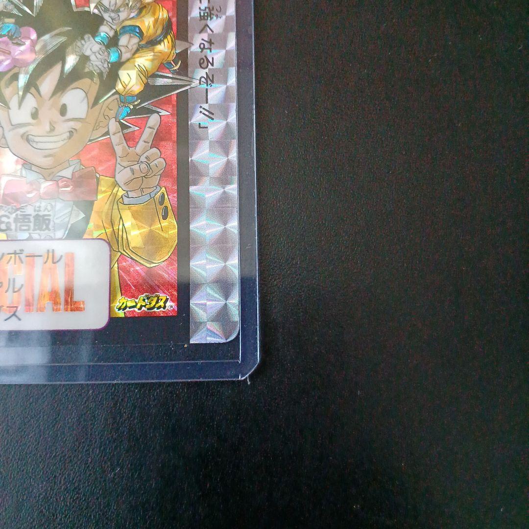 ドラゴンボール めちゃんこプロジェクトNo.1 孫悟空&悟飯【TORI】