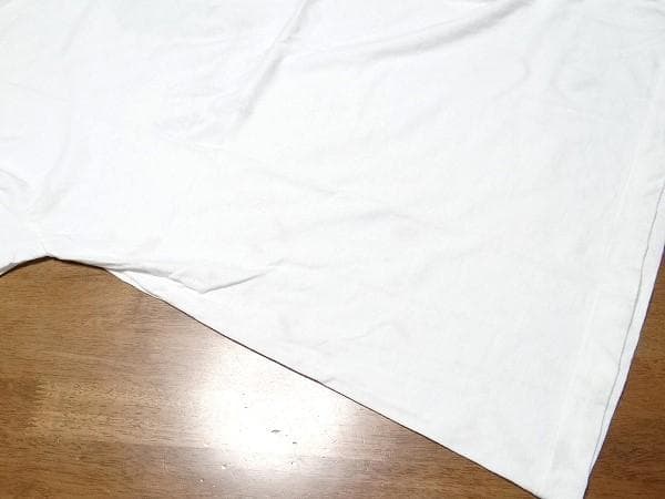 80年代 ビンテージ 日本製 ハウンドドッグ 大友康平 Tシャツ 当時物 現状