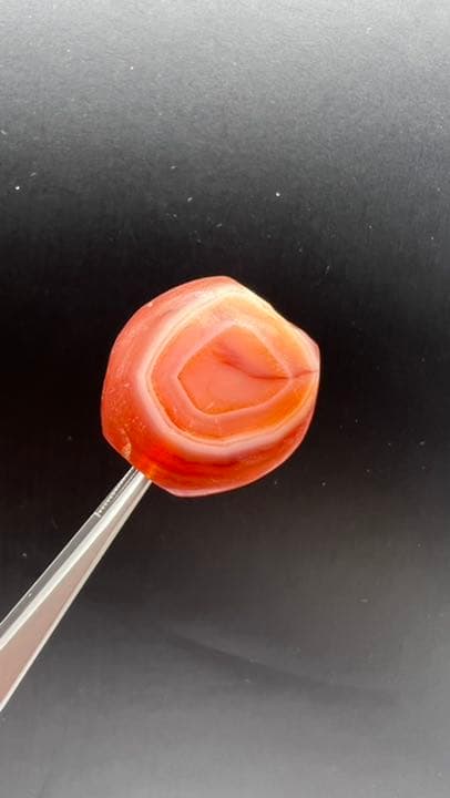 【アンティーク ビーズ】アンティーク カーネリアン ビーズ 21.3mm