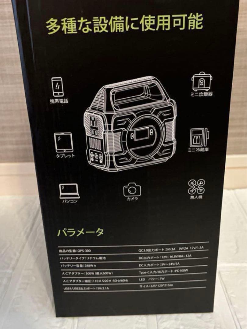 レジャーセット‼️お買い得‼️ラニーメッシュタープテント＆ポータブル電源セット