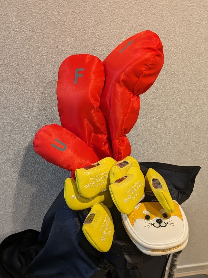 ゴルフクラブ　10本セット　（キャディーバッグ付き）