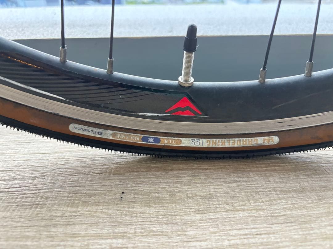 ミニウサギgios mistral