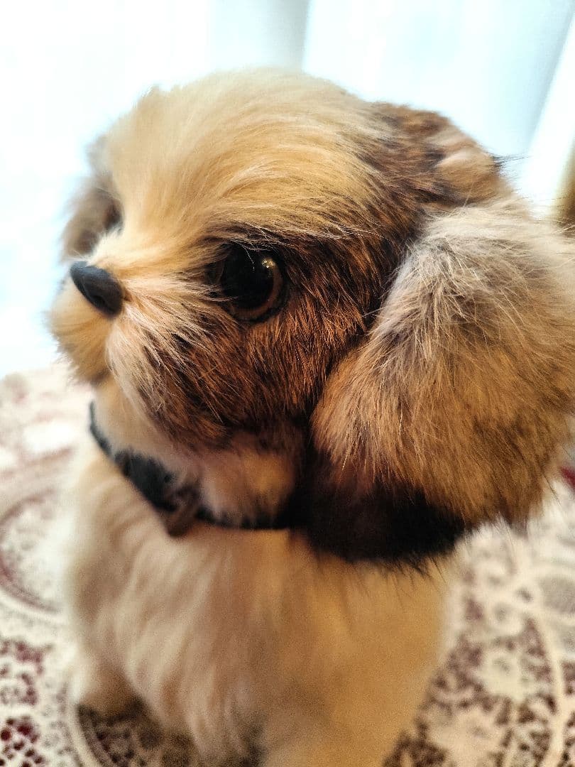 レトロ　シーズー　ぬいぐるみ　レトロぬいぐるみ