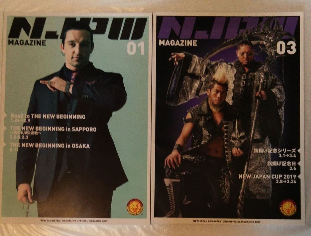 新日本プロレス　パンフレット　まとめ売り♫