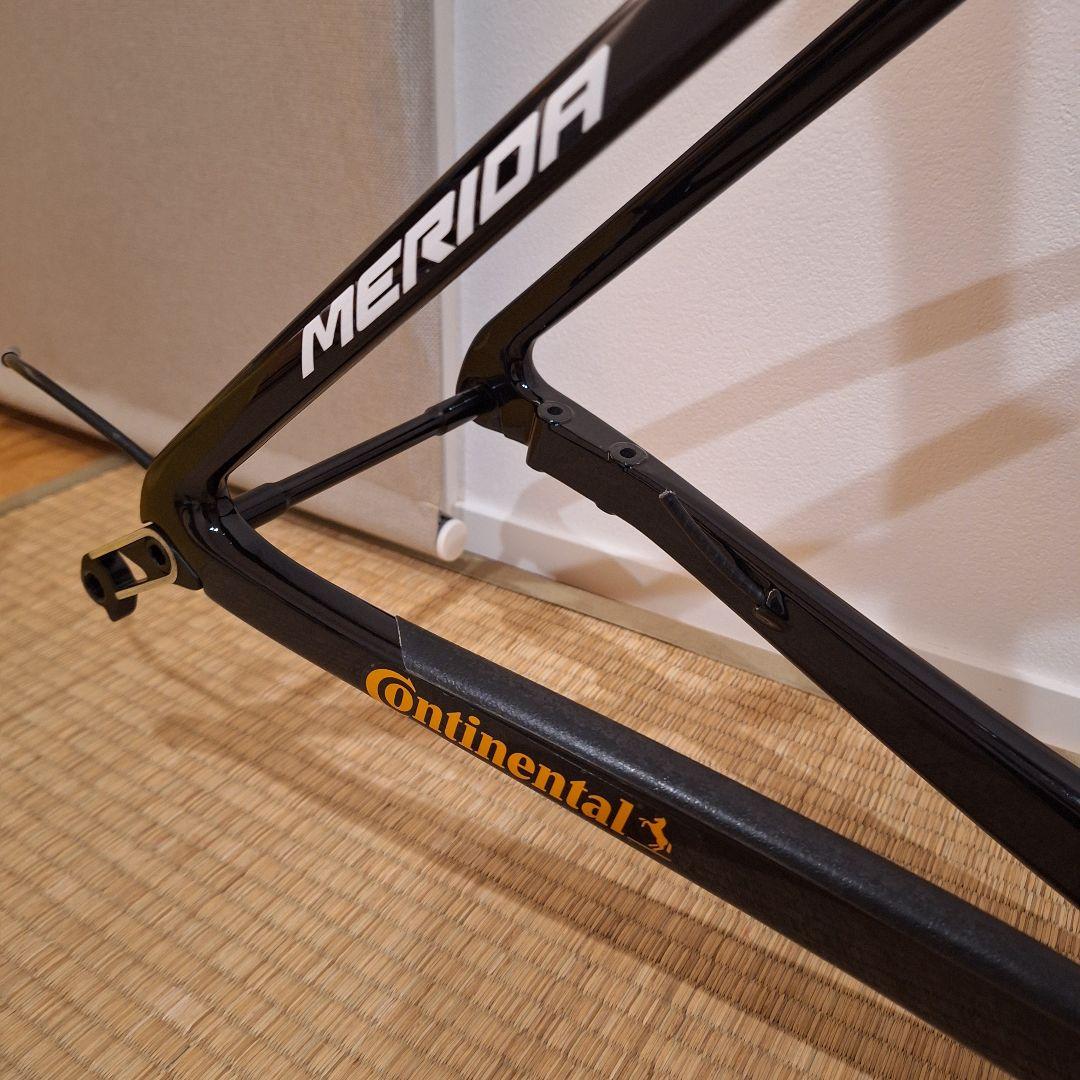 キノコ　メリダ スクルトゥーラ　 バーレーンヴィクトリアス