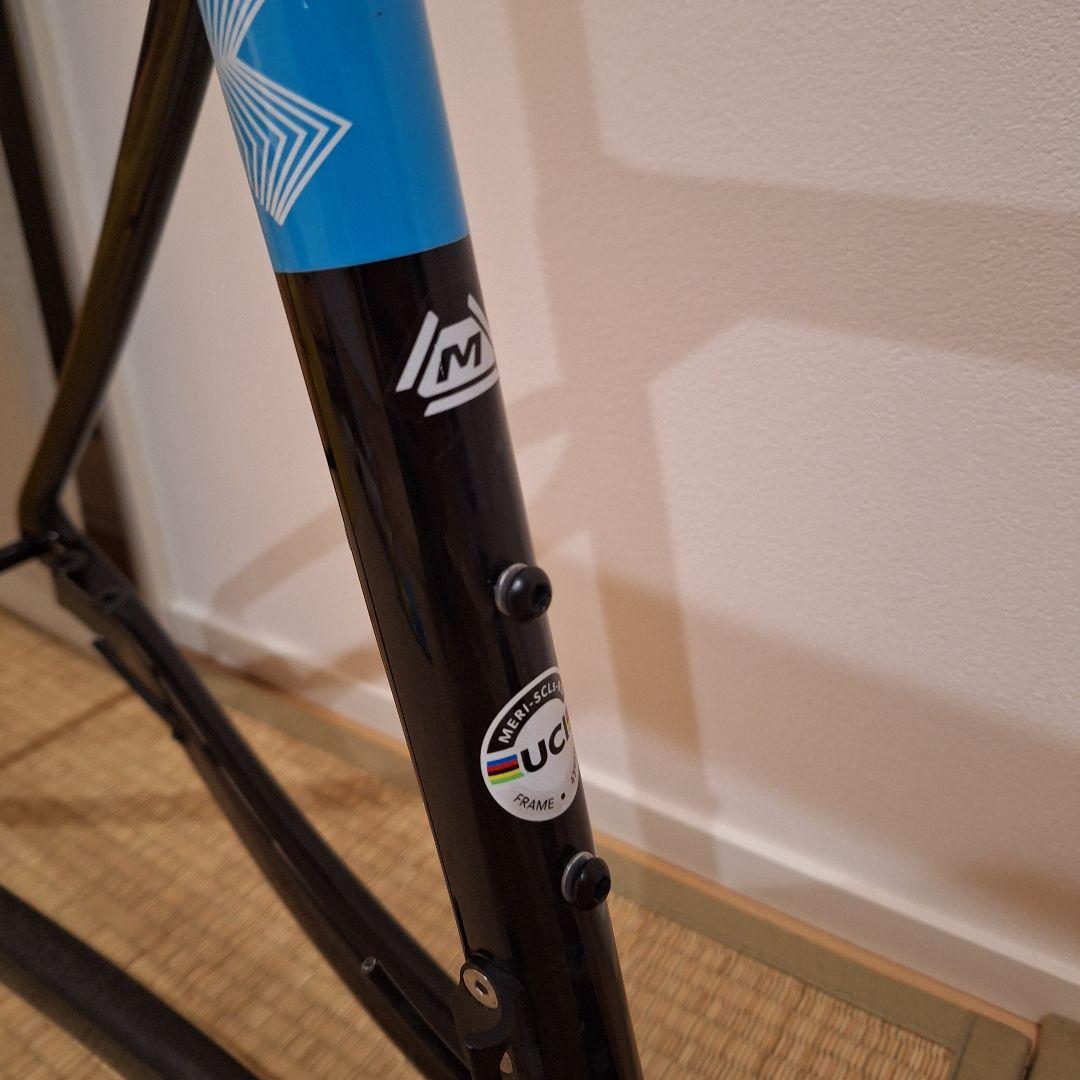 キノコ　メリダ スクルトゥーラ　 バーレーンヴィクトリアス