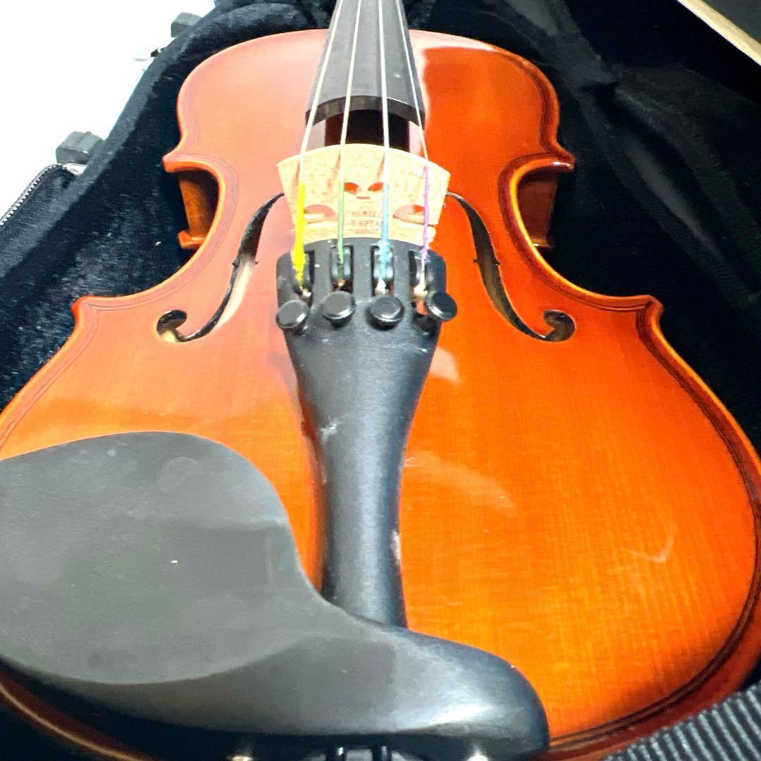 【美品】Andreas Eastman VL80 1/10 イーストマン