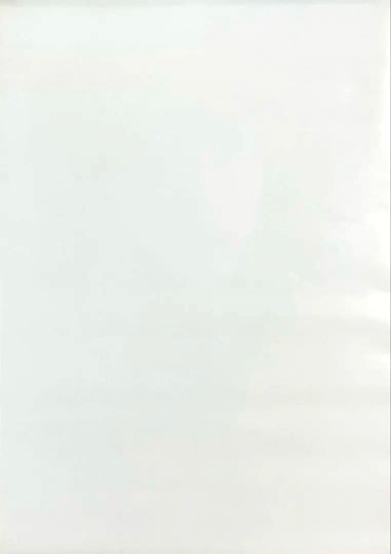 コレクションレベル【未掲示品未使用】★中森明菜ポスター★515×728B2PT