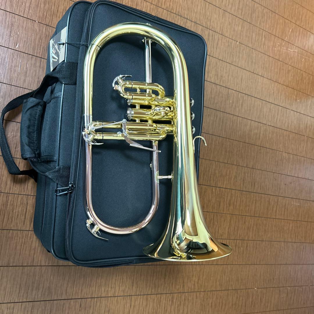 フリューゲルホルン　セミハードケース付