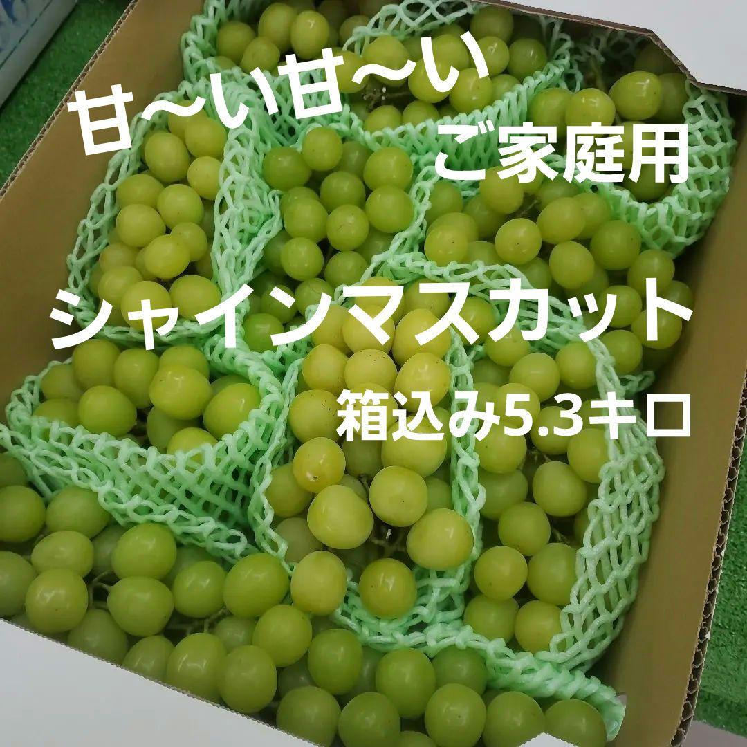 3️⃣ 山梨県産 シャインマスカット 11房入り 箱込み5.3キロ