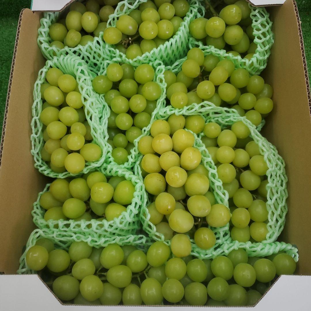 3️⃣ 山梨県産 シャインマスカット 11房入り 箱込み5.3キロ