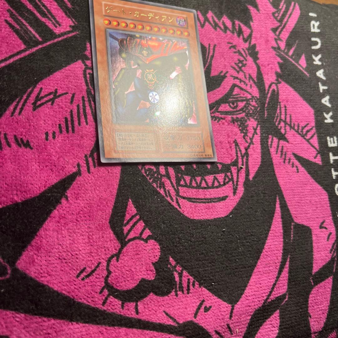 ゲート・ガーディアン初期