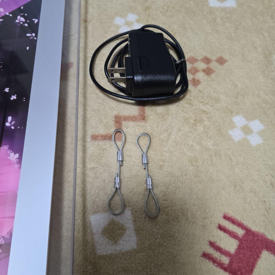 雪月華舞 てぃんくる アクリルアート　凛