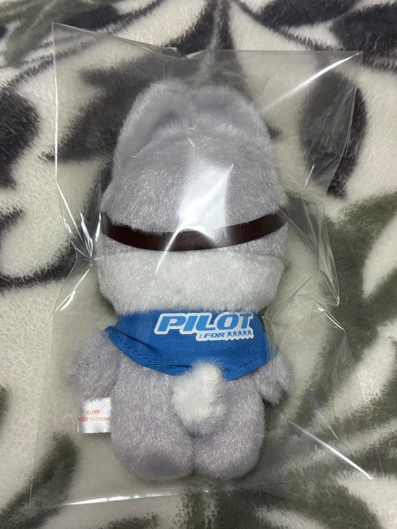 【新品】Stray Kids ウルフチャンパジャマ&PILOTウルフチャンセット