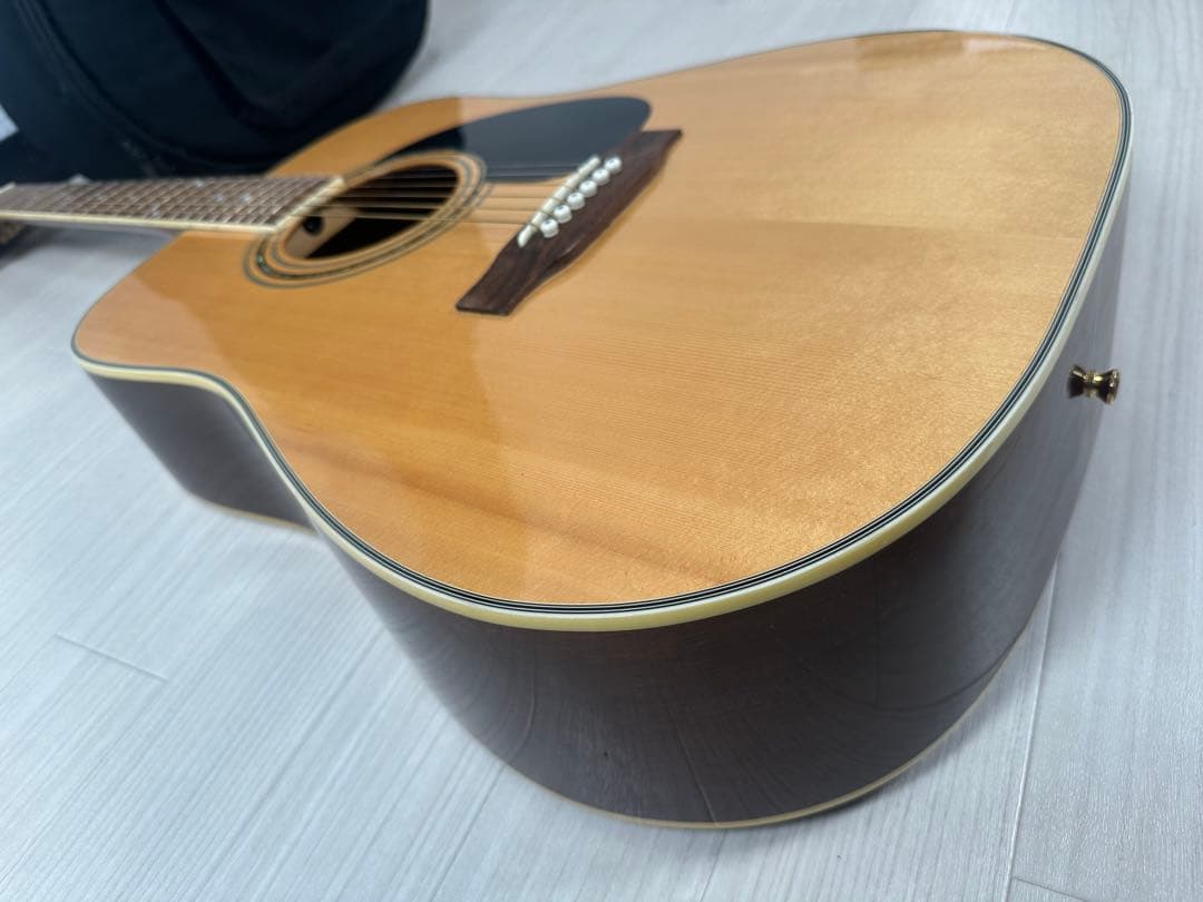 Jay Turser MODEL No. 500 プロ仕様 ※31※