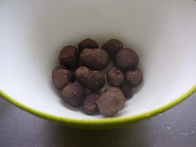 【専用出品】紫山芋のむかご20g～50g合計400個を特別販売!