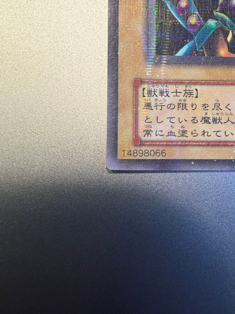 遊戯王　ブラッド・ヴォルス　パラレル