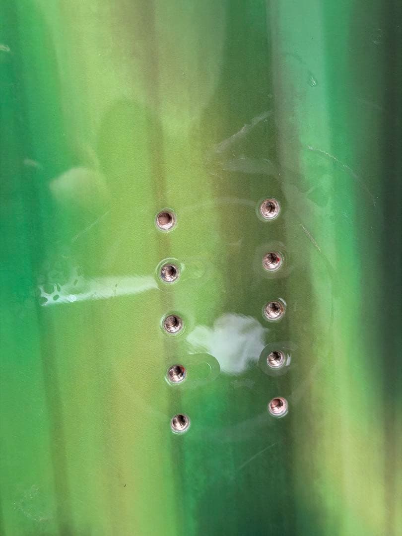 とっシーです！ゲンテンスティック　アロハノカオア